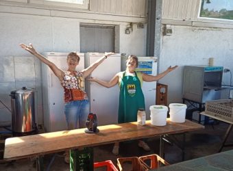 IMG_20220813_151621